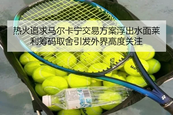 热火追求马尔卡宁交易方案浮出水面莱利筹码取舍引发外界高度关注